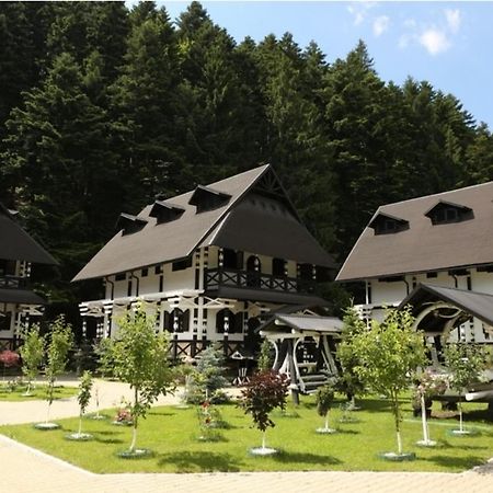 ホテル Complex Lions Bucovina ヴォロネツ エクステリア 写真