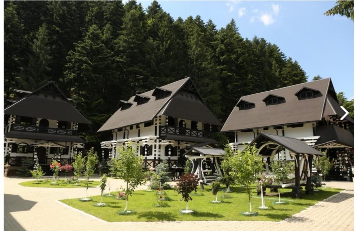 ホテル Complex Lions Bucovina ヴォロネツ エクステリア 写真