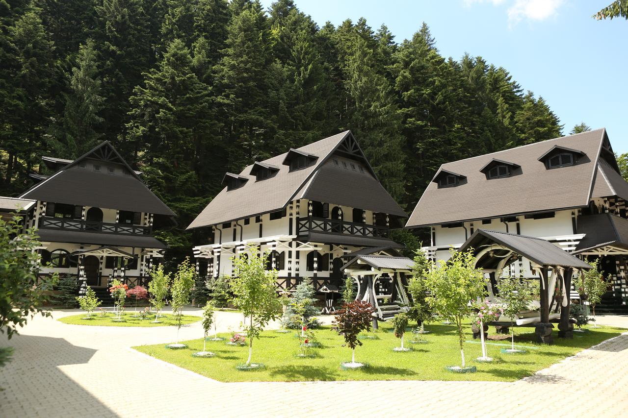 ホテル Complex Lions Bucovina ヴォロネツ エクステリア 写真