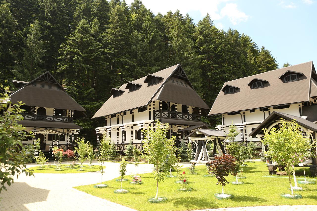 ホテル Complex Lions Bucovina ヴォロネツ エクステリア 写真