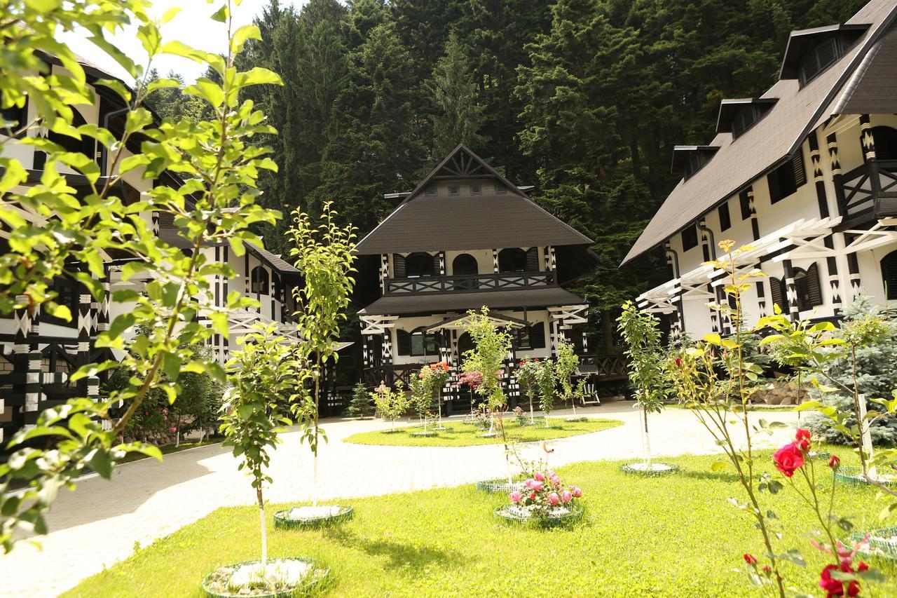 ホテル Complex Lions Bucovina ヴォロネツ エクステリア 写真